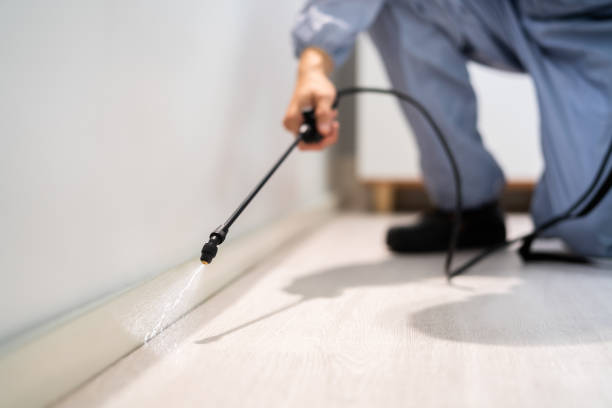 Rodent Entry Point Assessment in Cedarhurst