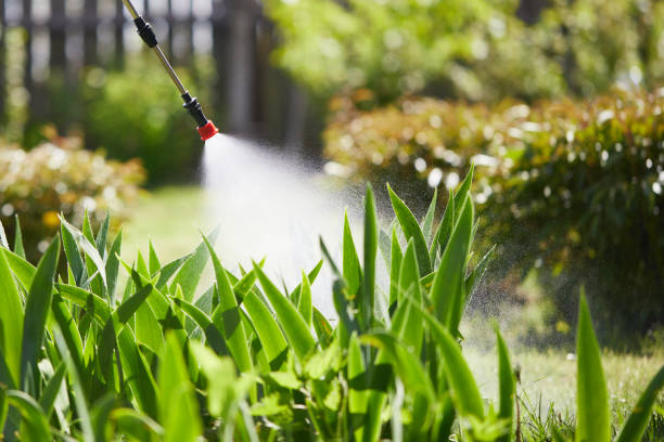 Tamper-Resistant Bait Stations for Rodents in Cedarhurst
